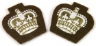 Officers Badge